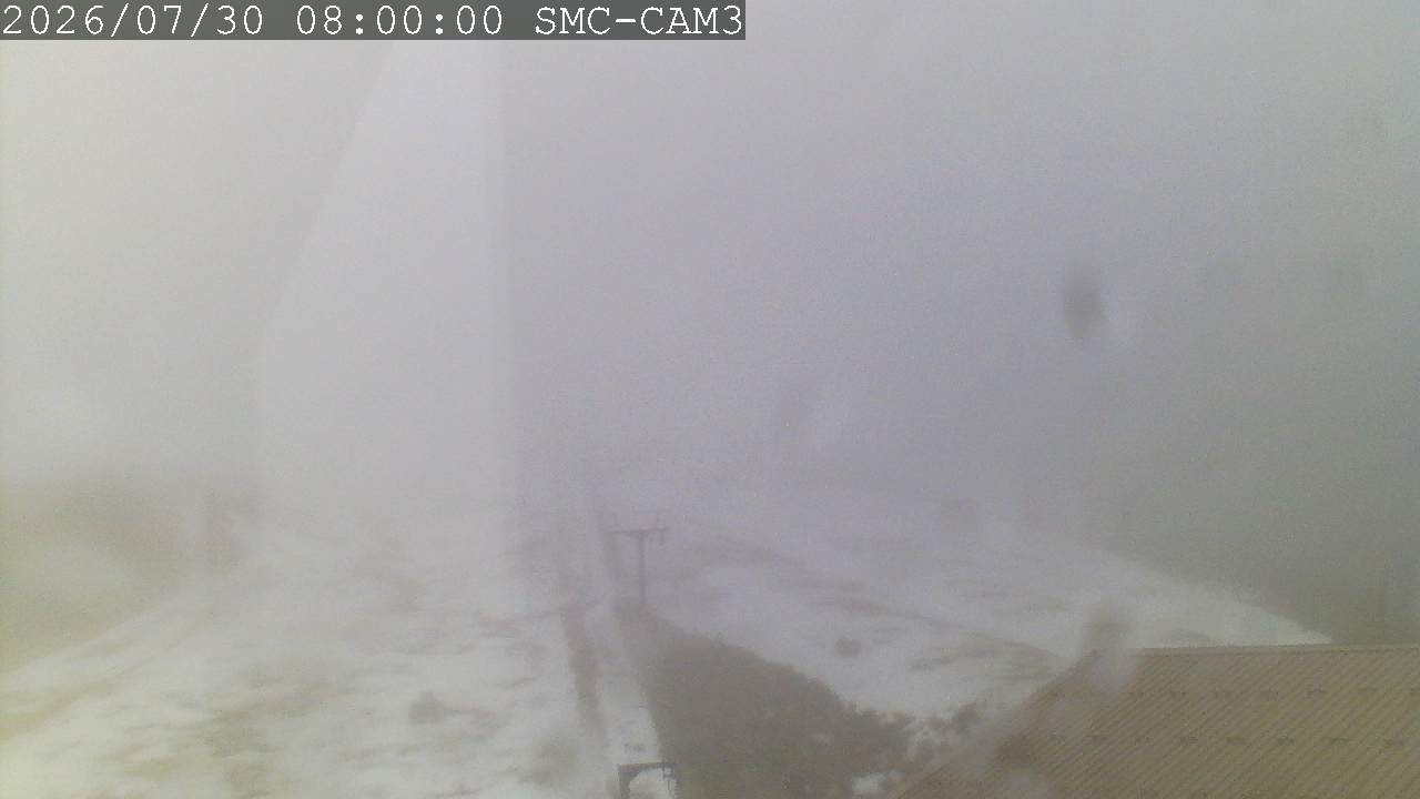 T-Bar, ptz camera