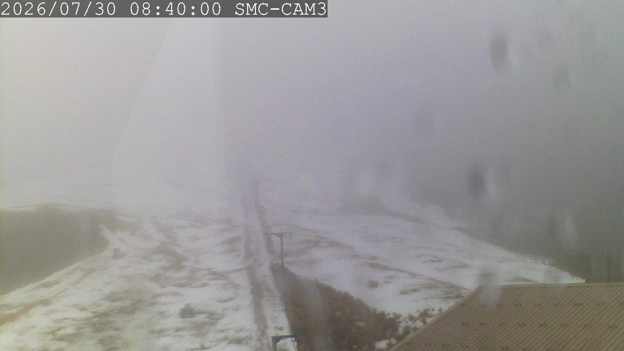 T-Bar, ptz camera