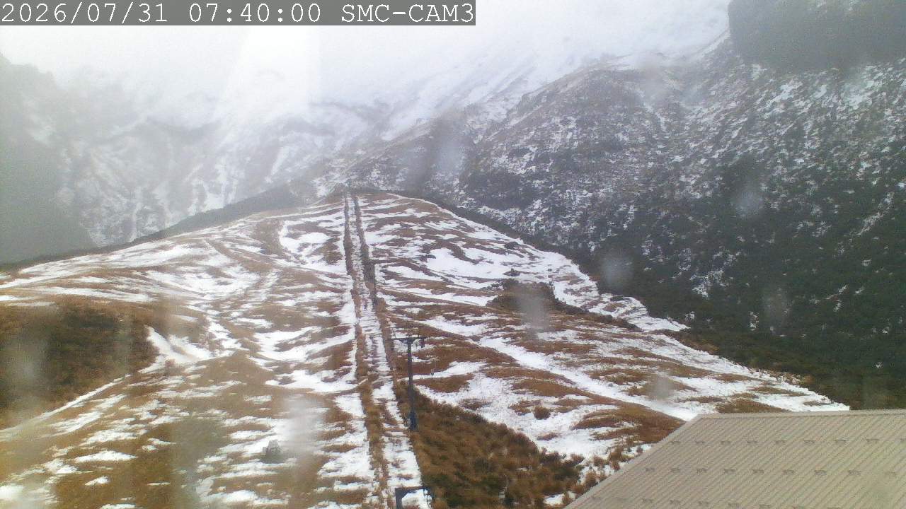 T-Bar, ptz camera
