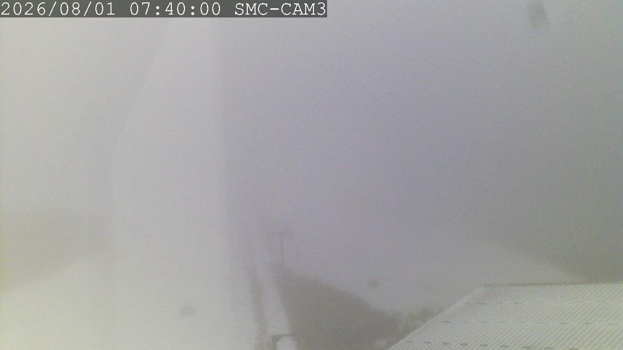 T-Bar, ptz camera