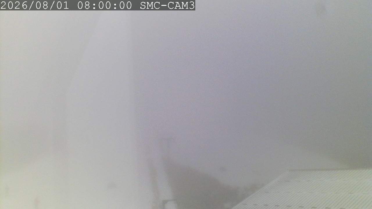 T-Bar, ptz camera
