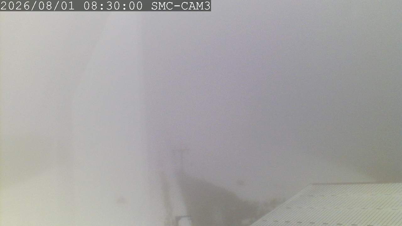 T-Bar, ptz camera