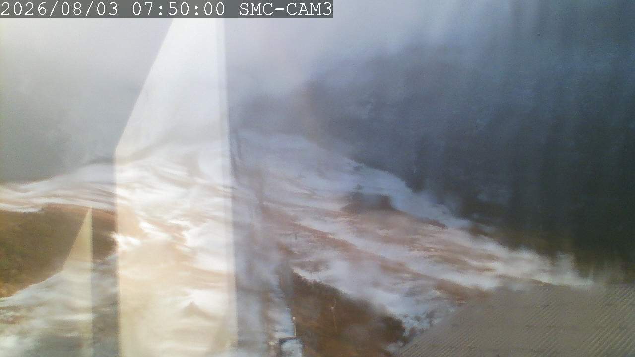 T-Bar, ptz camera