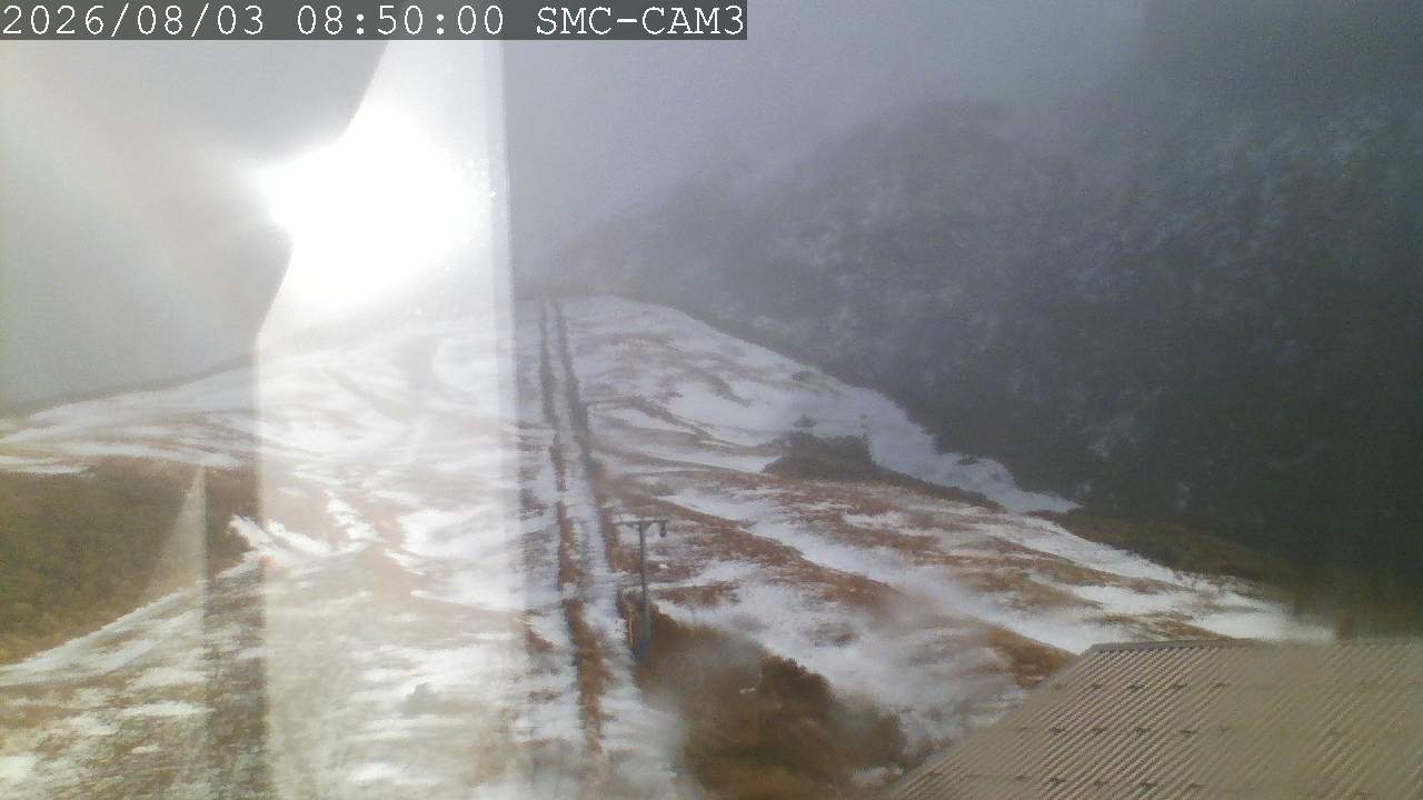 T-Bar, ptz camera