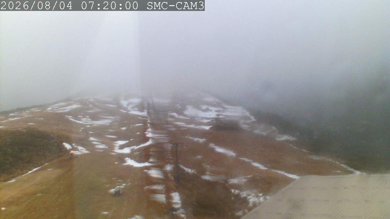 T-Bar, ptz camera