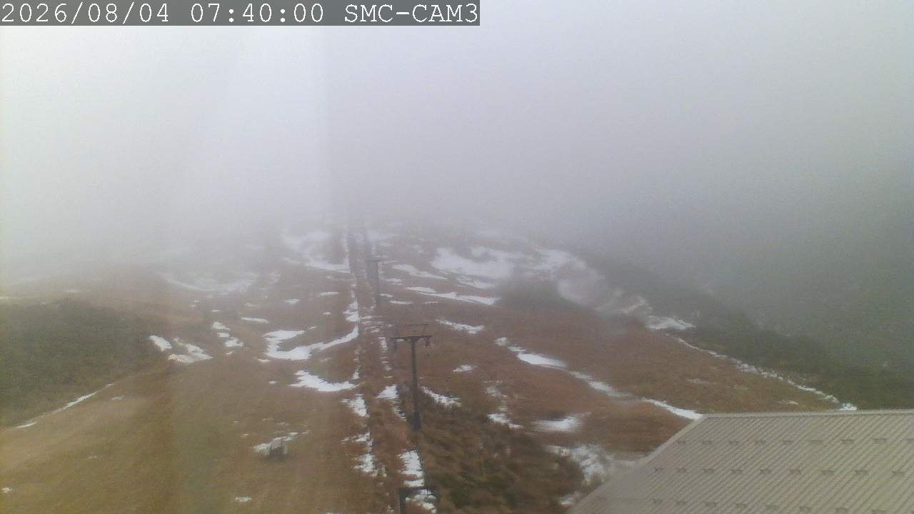 T-Bar, ptz camera
