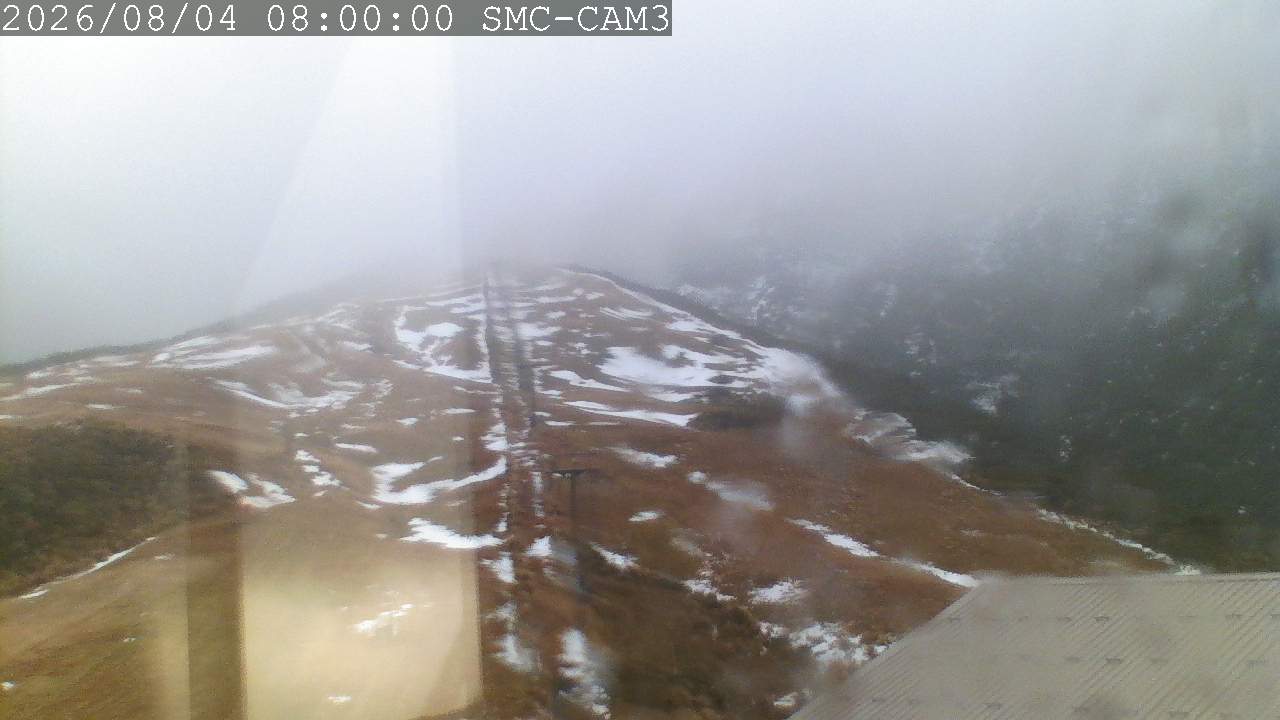 T-Bar, ptz camera