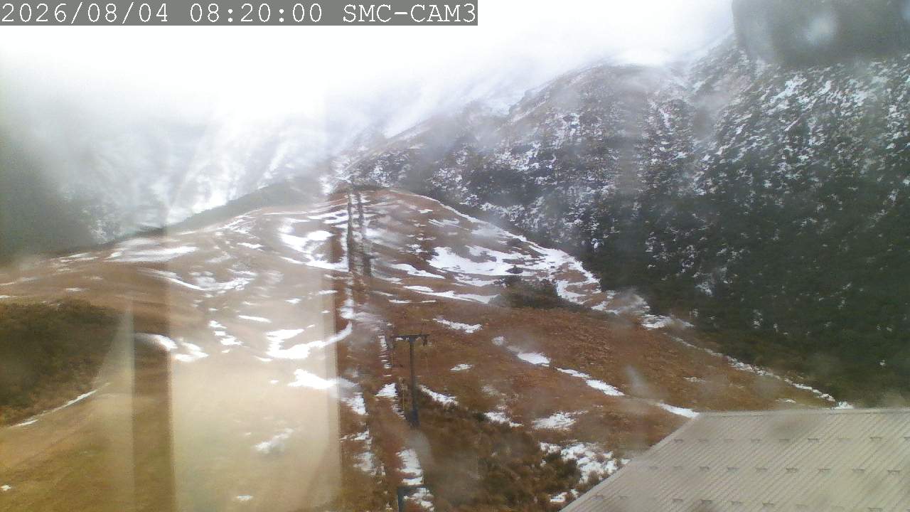 T-Bar, ptz camera