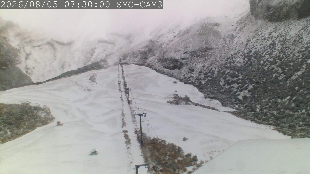 T-Bar, ptz camera