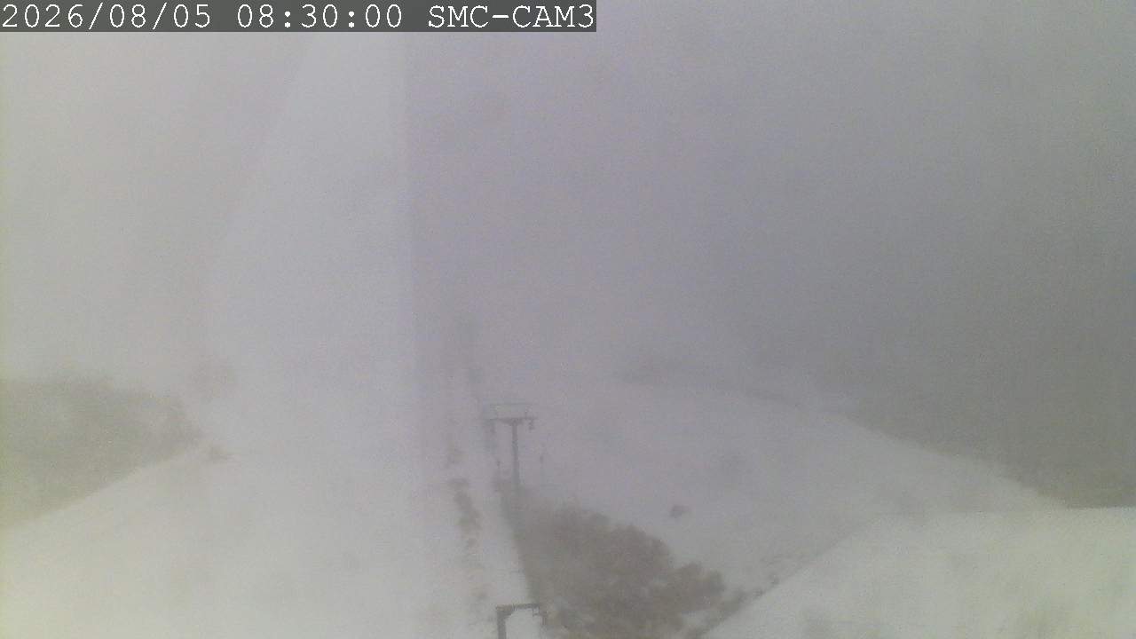 T-Bar, ptz camera