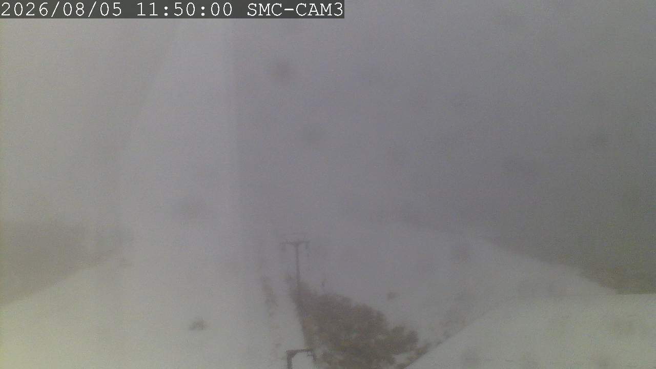 T-Bar, ptz camera