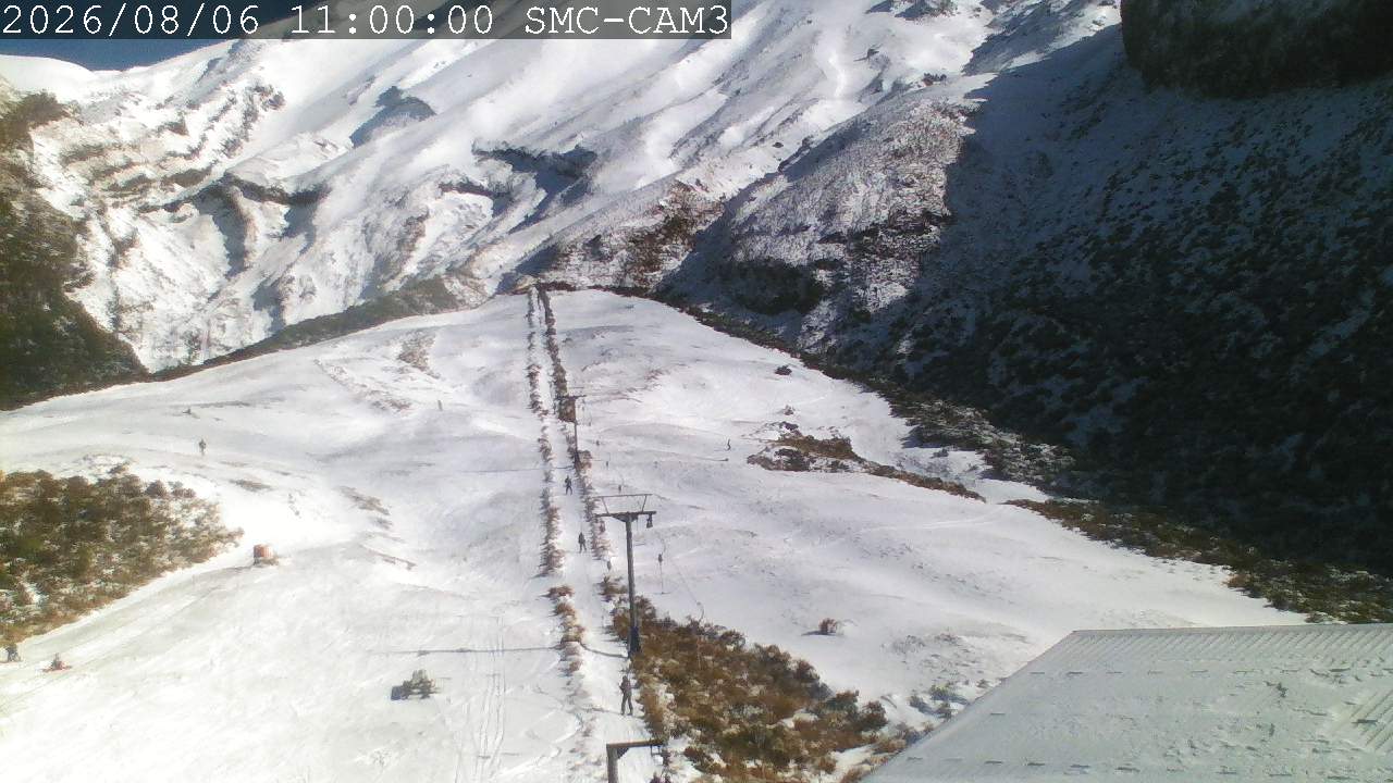 T-Bar, ptz camera