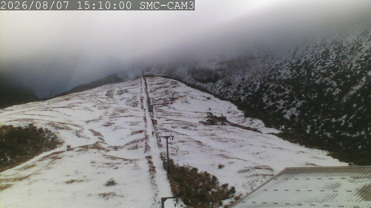 T-Bar, ptz camera