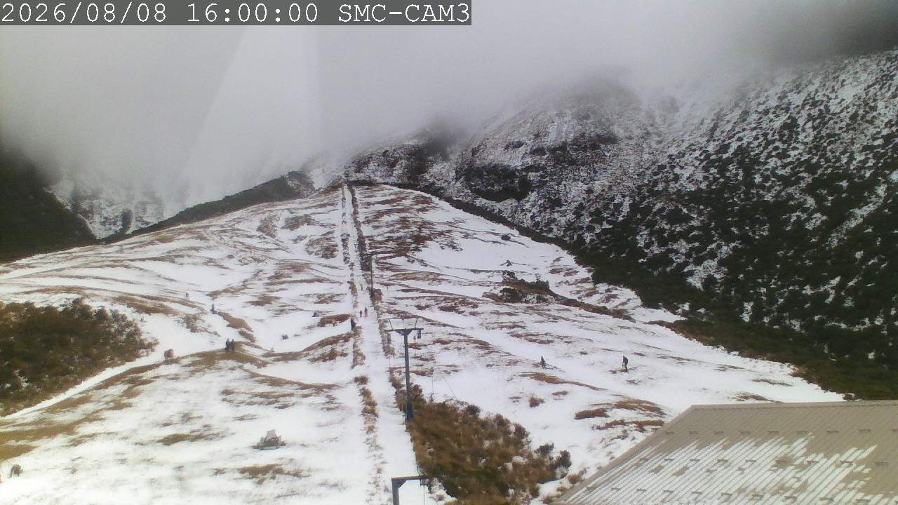 T-Bar, ptz camera