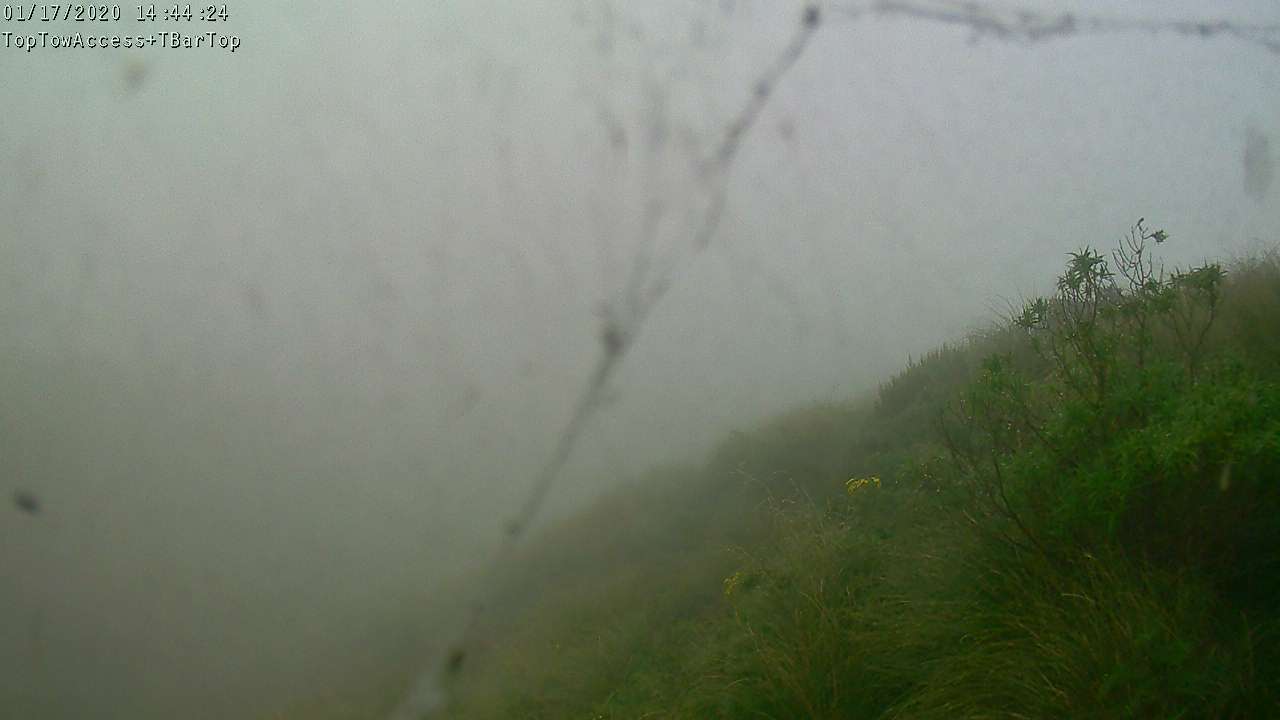 Access Tow towards the T-Bar, fixed lens camera