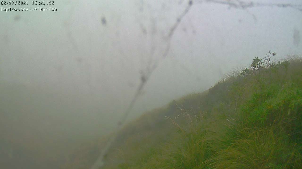 Access Tow towards the T-Bar, fixed lens camera