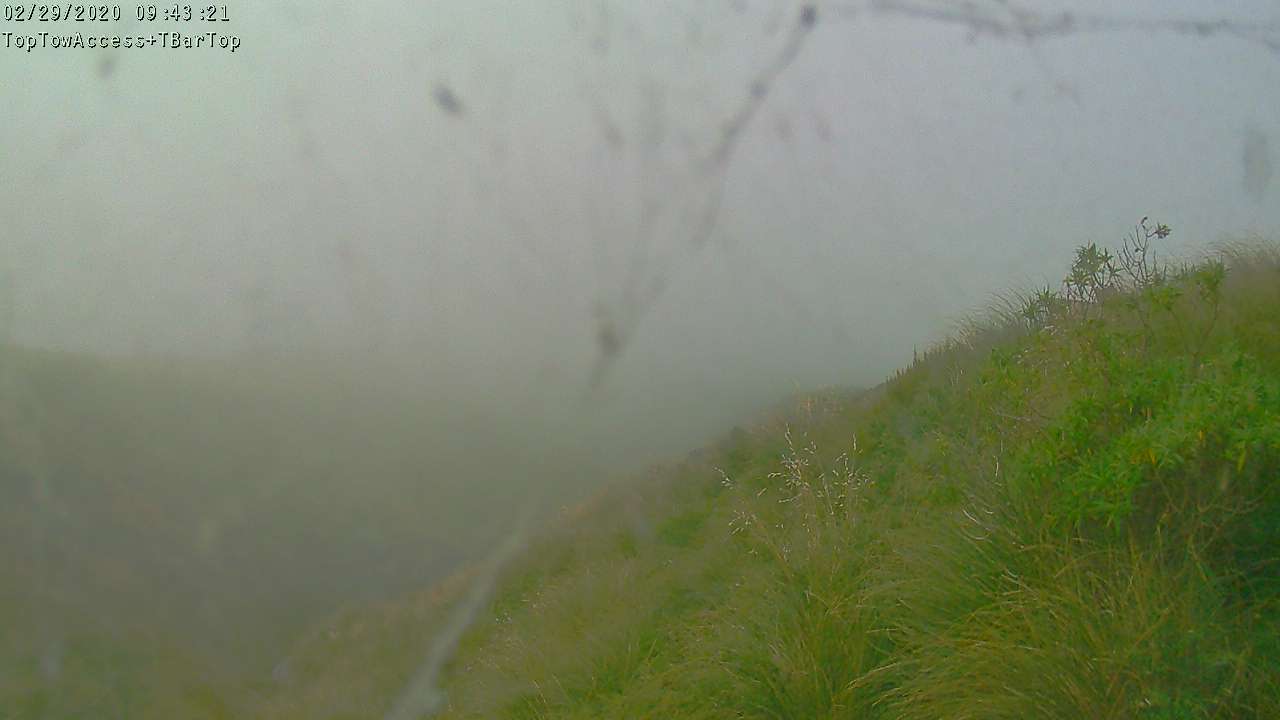 Access Tow towards the T-Bar, fixed lens camera