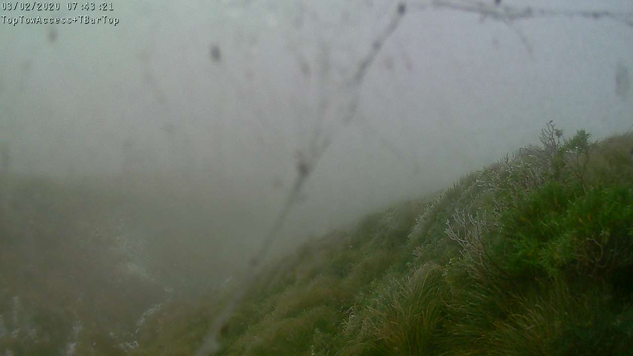 Access Tow towards the T-Bar, fixed lens camera