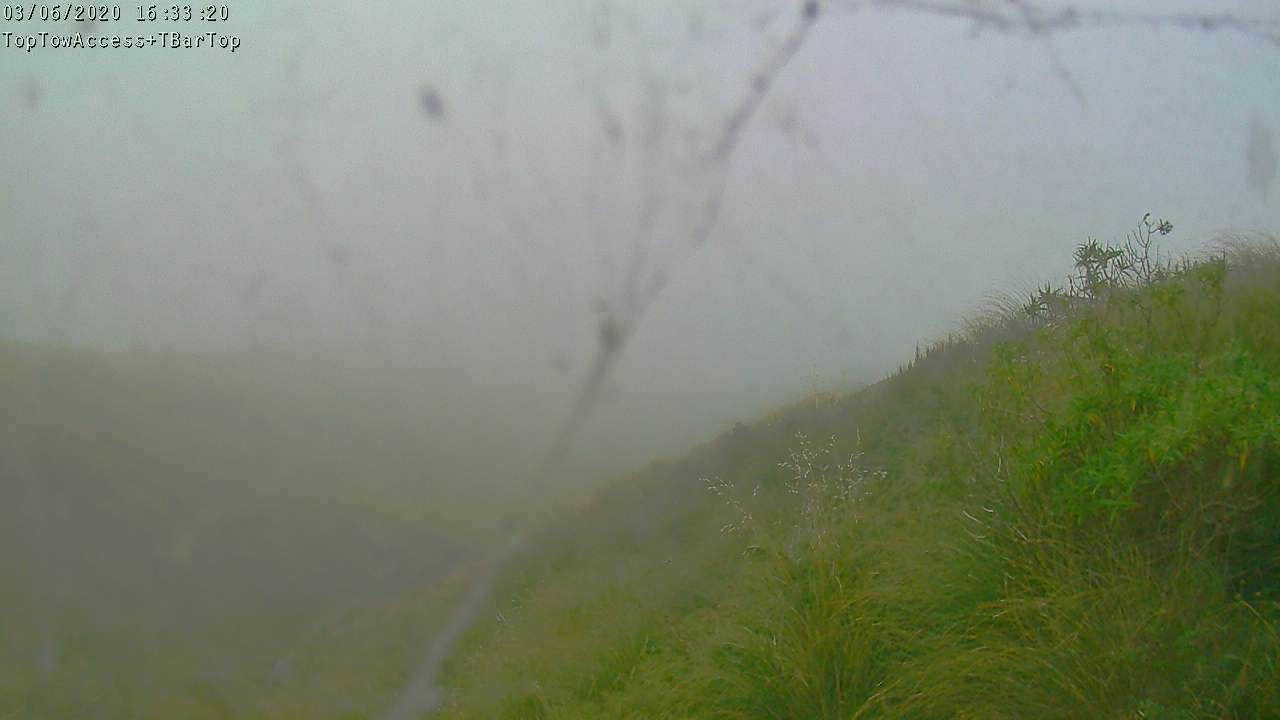 Access Tow towards the T-Bar, fixed lens camera