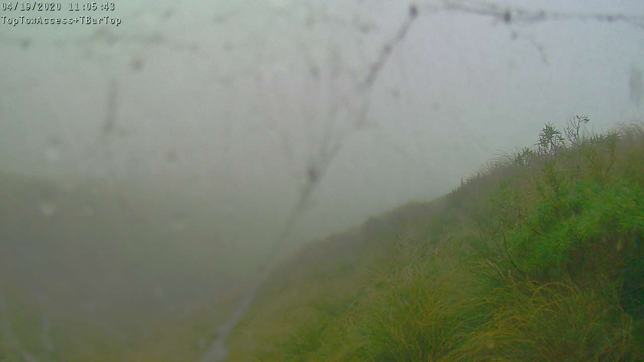 Access Tow towards the T-Bar, fixed lens camera