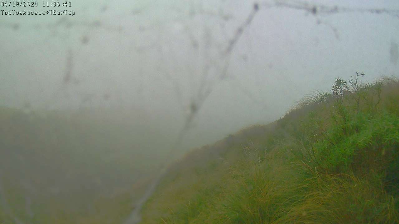 Access Tow towards the T-Bar, fixed lens camera